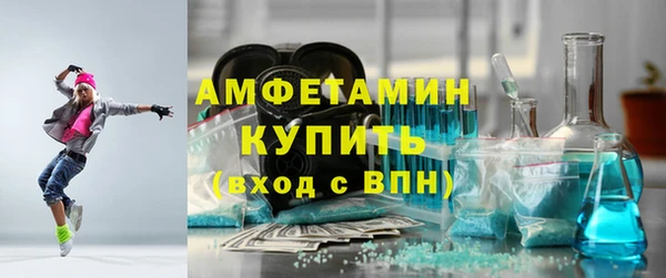 гашик Горняк