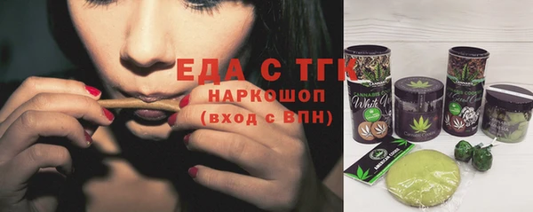 гашик Горняк