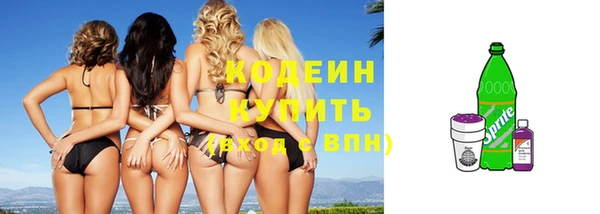сатива Гусиноозёрск