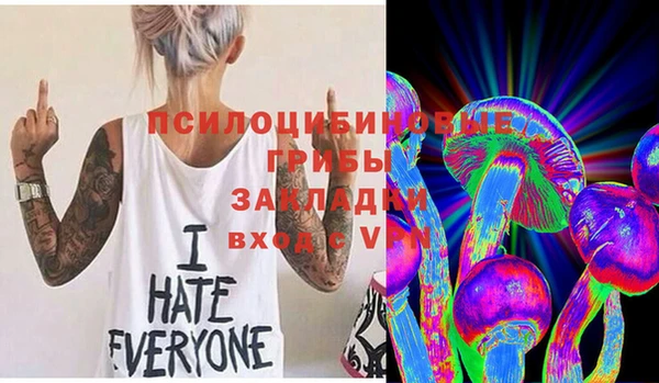 PSILOCYBIN Долгопрудный