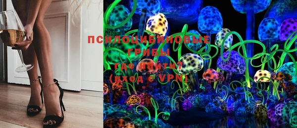шишки Мегион