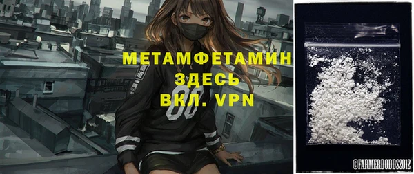 шишки Мегион
