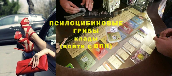гашик Медногорск