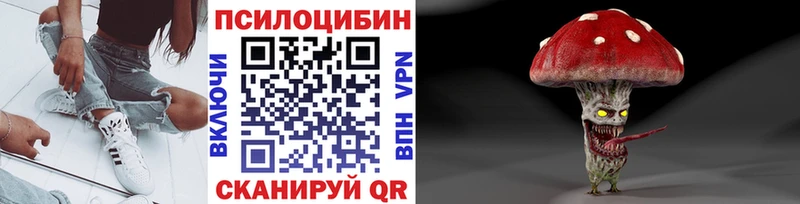 Псилоцибиновые грибы MAGIC MUSHROOMS shop Telegram Гдов
